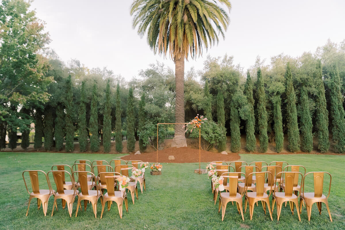 1 Paige Vaughn Photo Sebastiani Vineyards 0259